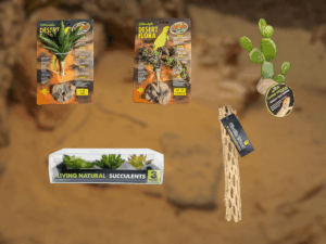 BundleBiome Curated Scorched Earth set featuring Green Aloe, Red Leaf Stonecrop, Prickly Pear Cactus, yellow and green succulents, and Cholla Wood branches for desert habitats.