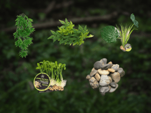 BundleBiome Curated Tallgrass Rise set featuring bamboo climbing plant, hanging Iha leaves, woodland canopy, sprouts, and mixed natural stones for grassland habitats.