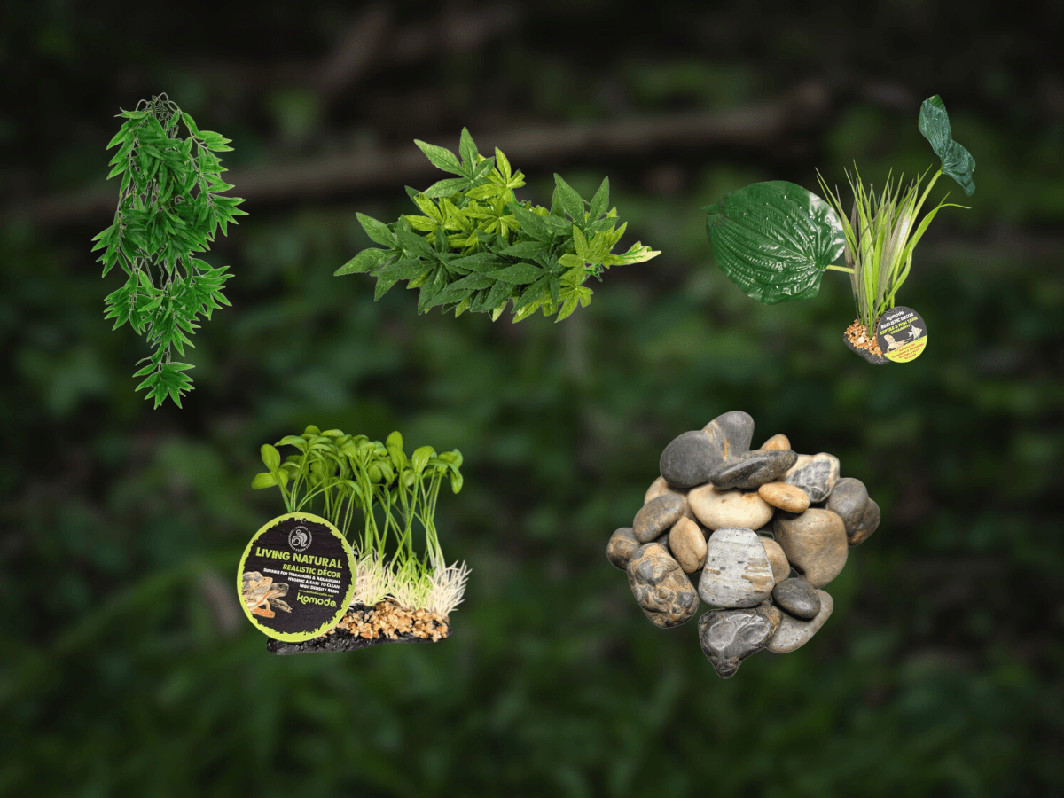 Balanced Tallgrass Rise Bundle