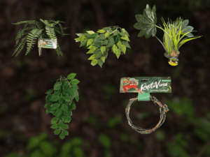 BundleBiome Curated Verdant Layer set featuring Sword Fern, Banyan Leaves, Jungle Canopy, Green Leaf climbing plant, and ReptiVine for immersive rainforest habitats.