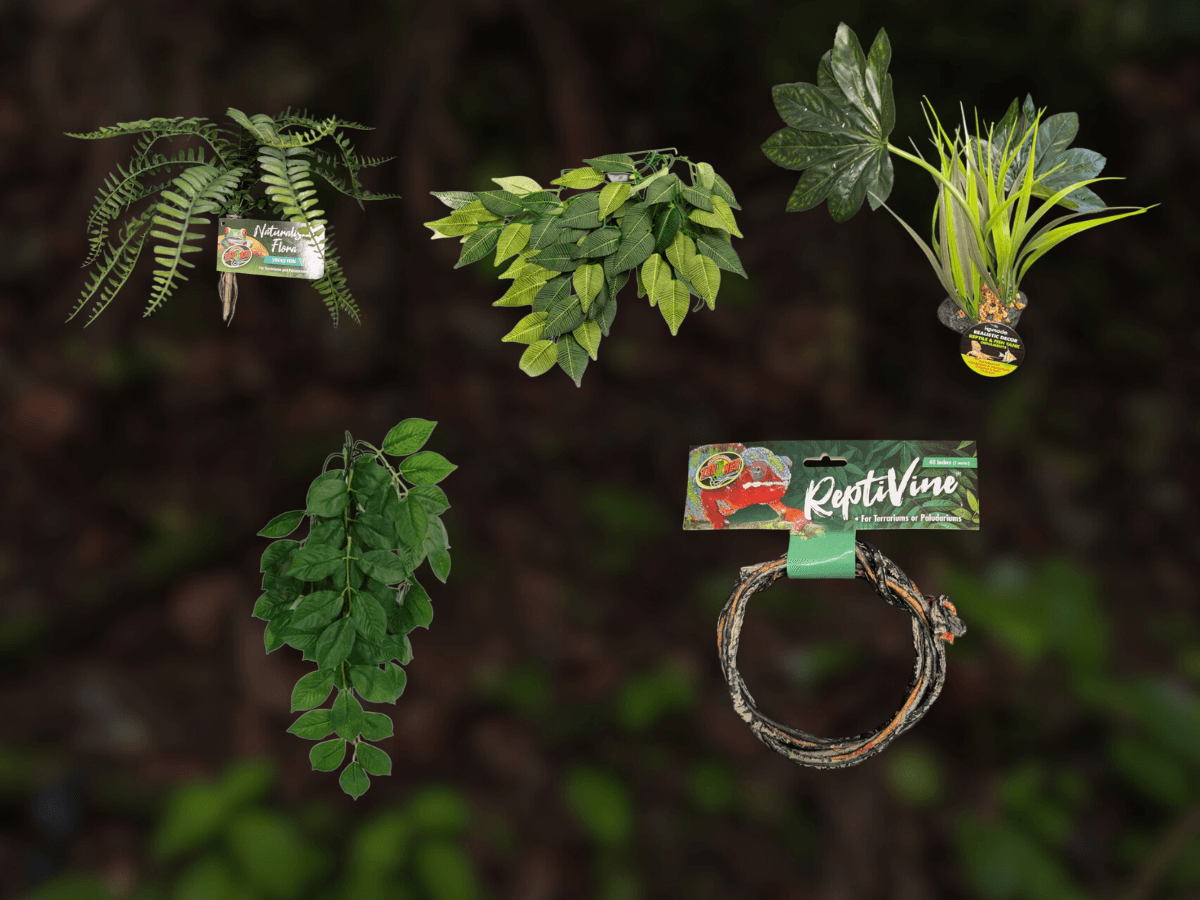Balanced Verdant Layer Bundle