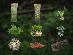 BundleBiome Curated Openland Refuge set featuring Casuarina and Australian Maple bush plants, Woodland Canopy, Iha Leaves, Forest Log, Driftwood, and Mixed Stones for grassland habitats.