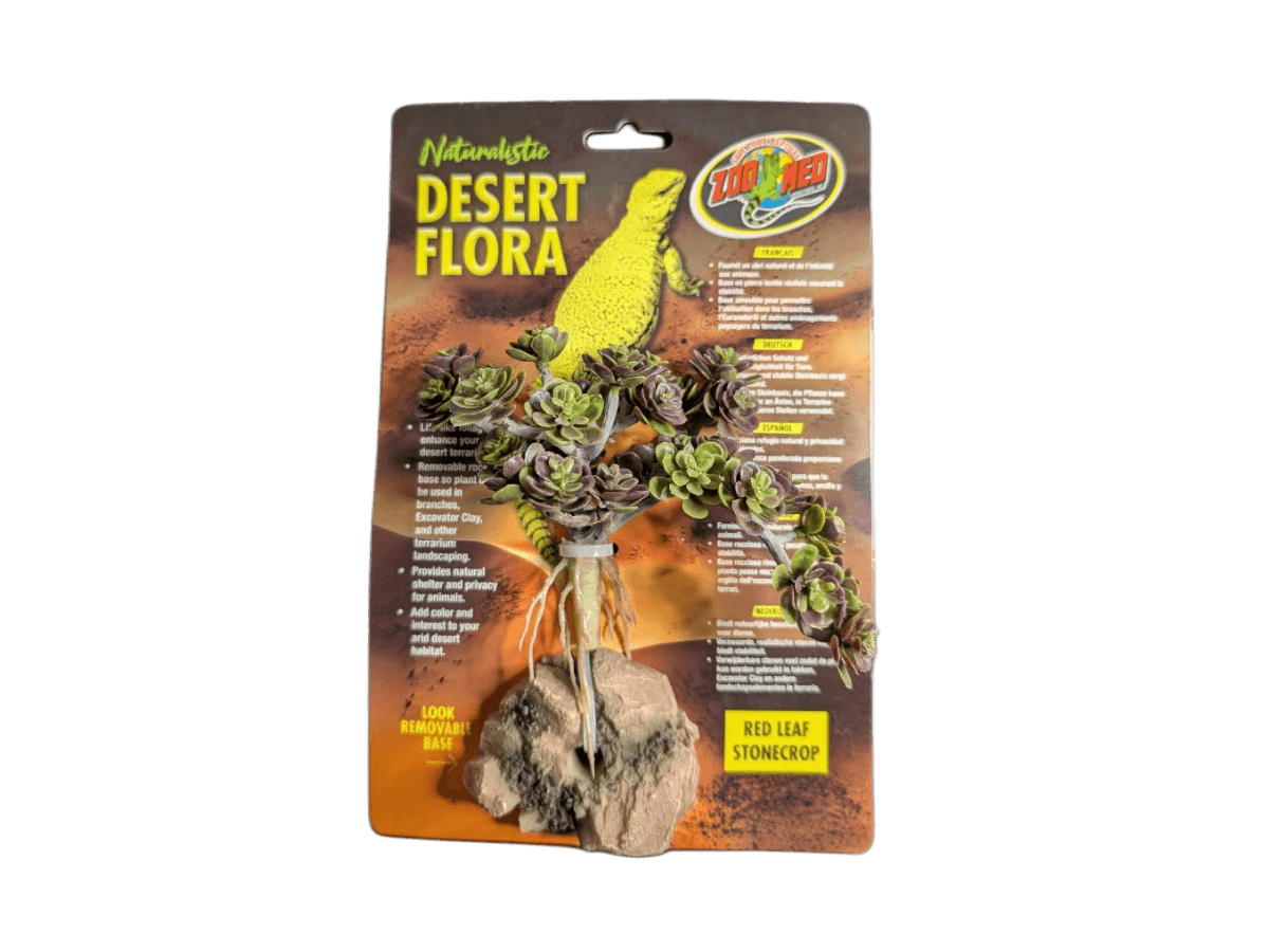 Zoo Med Desert Flora Red Leaf Stonecrop artificial desert plant for reptile terrarium and arid habitat decor