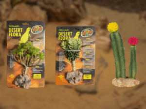BundleBiome Curated Dryland Patch set featuring Tree Houseleek, Burro’s Tail, and ReptiZoo Cactus for minimal desert habitats.