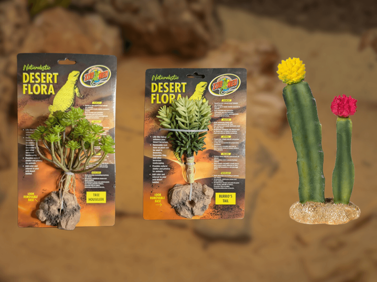 Minimal Dryland Patch Bundle