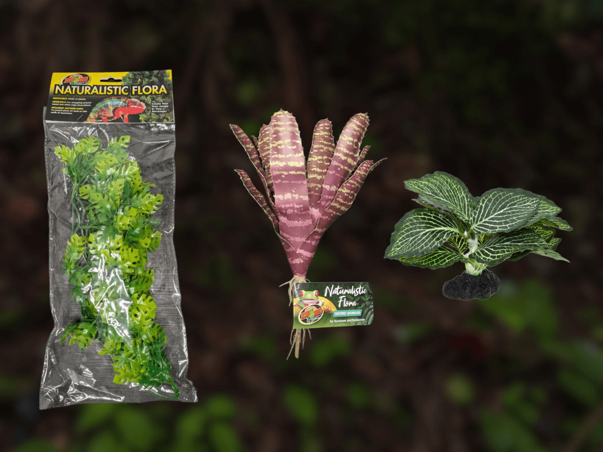Minimal Canopy Sprout Bundle