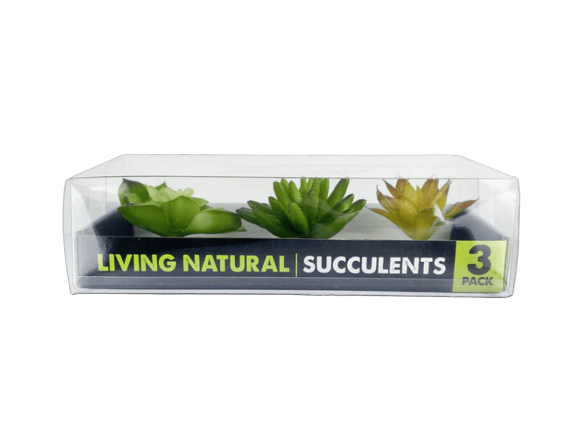 Komodo Succulent Yellow and Green 3-Pack artificial desert reptile plants for terrarium decor