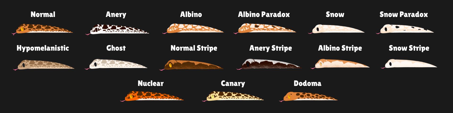 Kenyan Sand Boa Care Guide - Morph Identification Chart