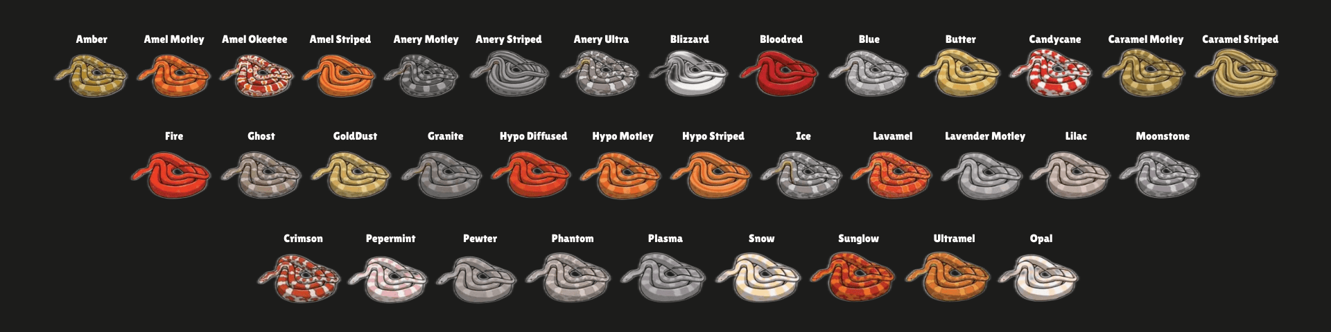 Corn Snake Morph Identification Chart