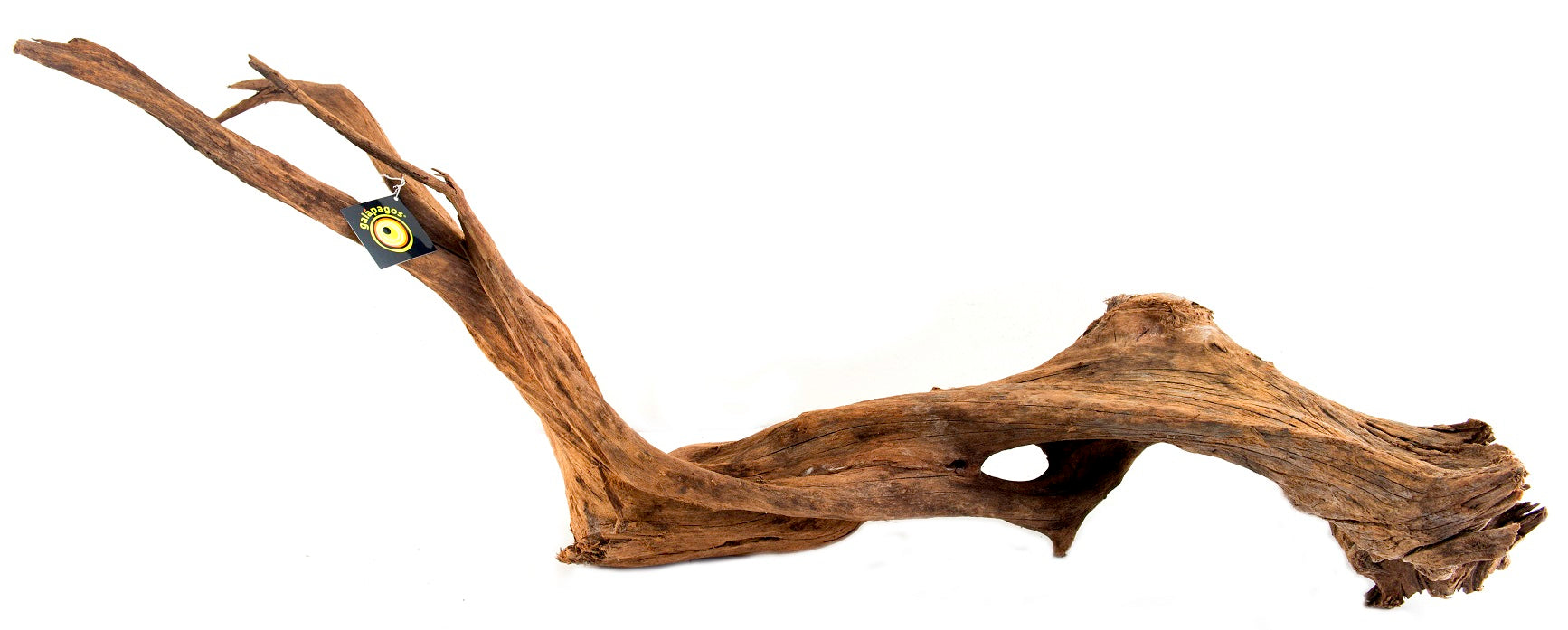 Sinkable Driftwood 6