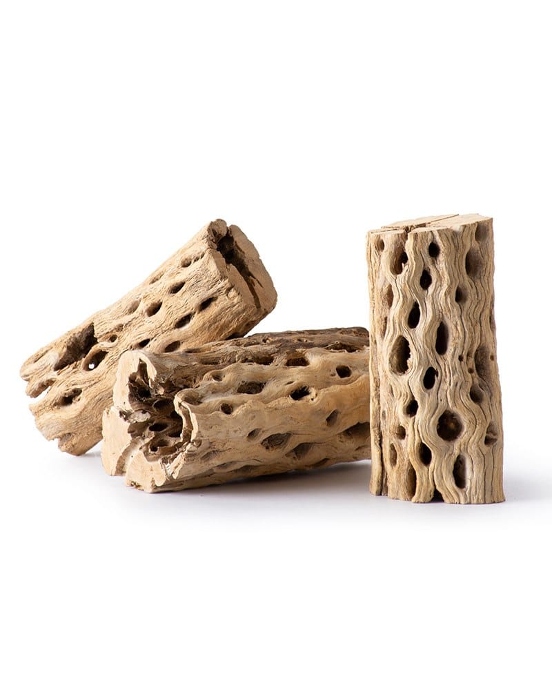 Cholla Wood 6in 3pk