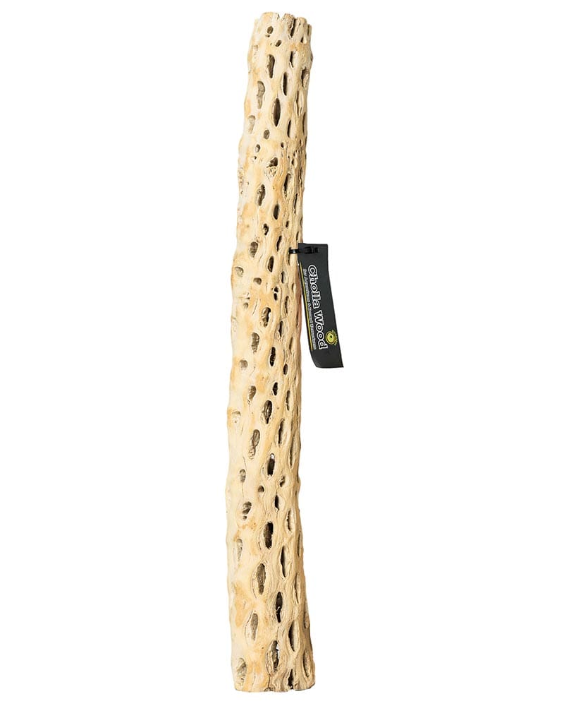 Cholla Wood 24in