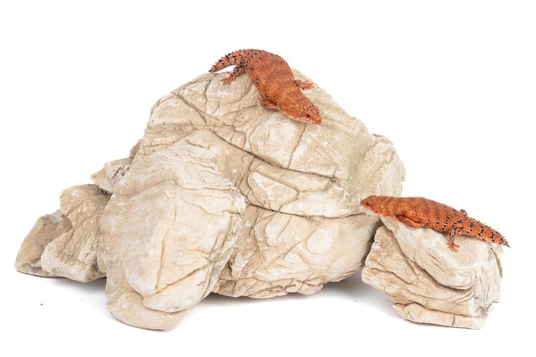 Elephant Skin Rock 1