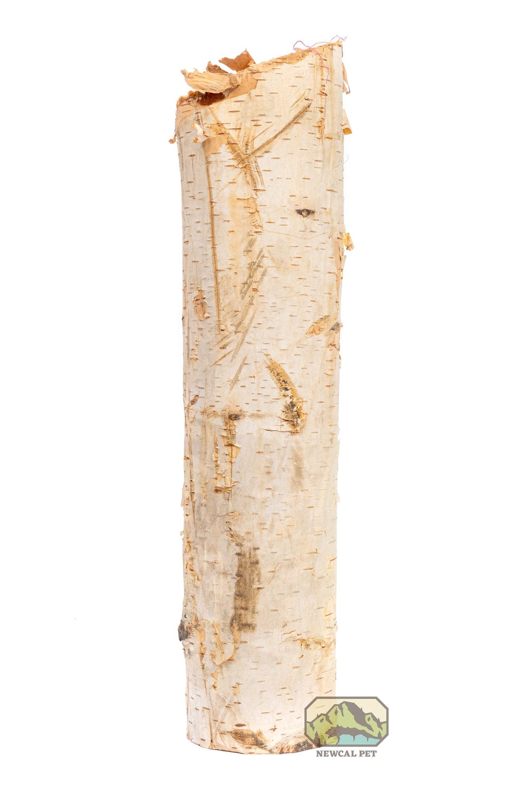 Birch Tree Pole Branches