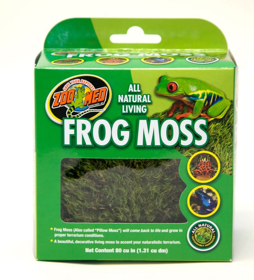Natural Frog Moss
