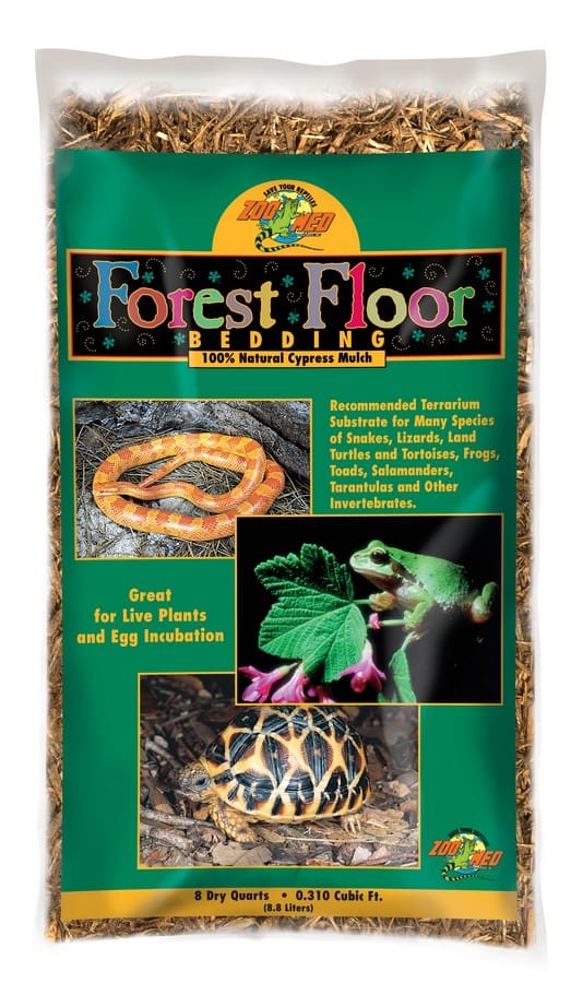 Forest Floor Bedding 1