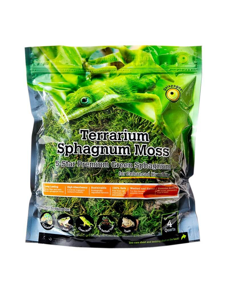 5-Star Green Sphagnum Moss 2