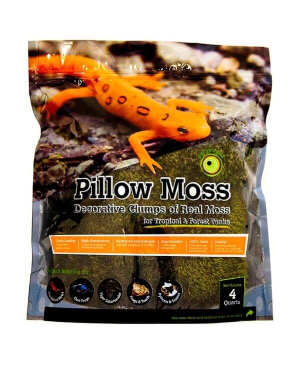 Pillow Moss