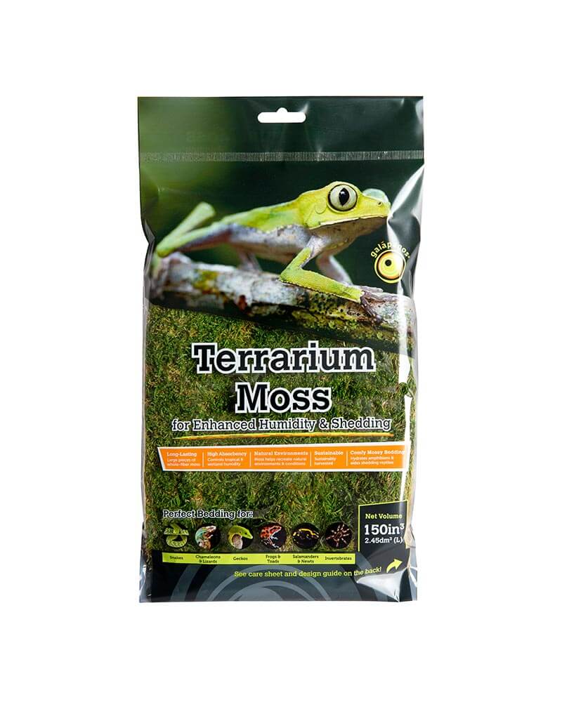 Sheet Moss 1