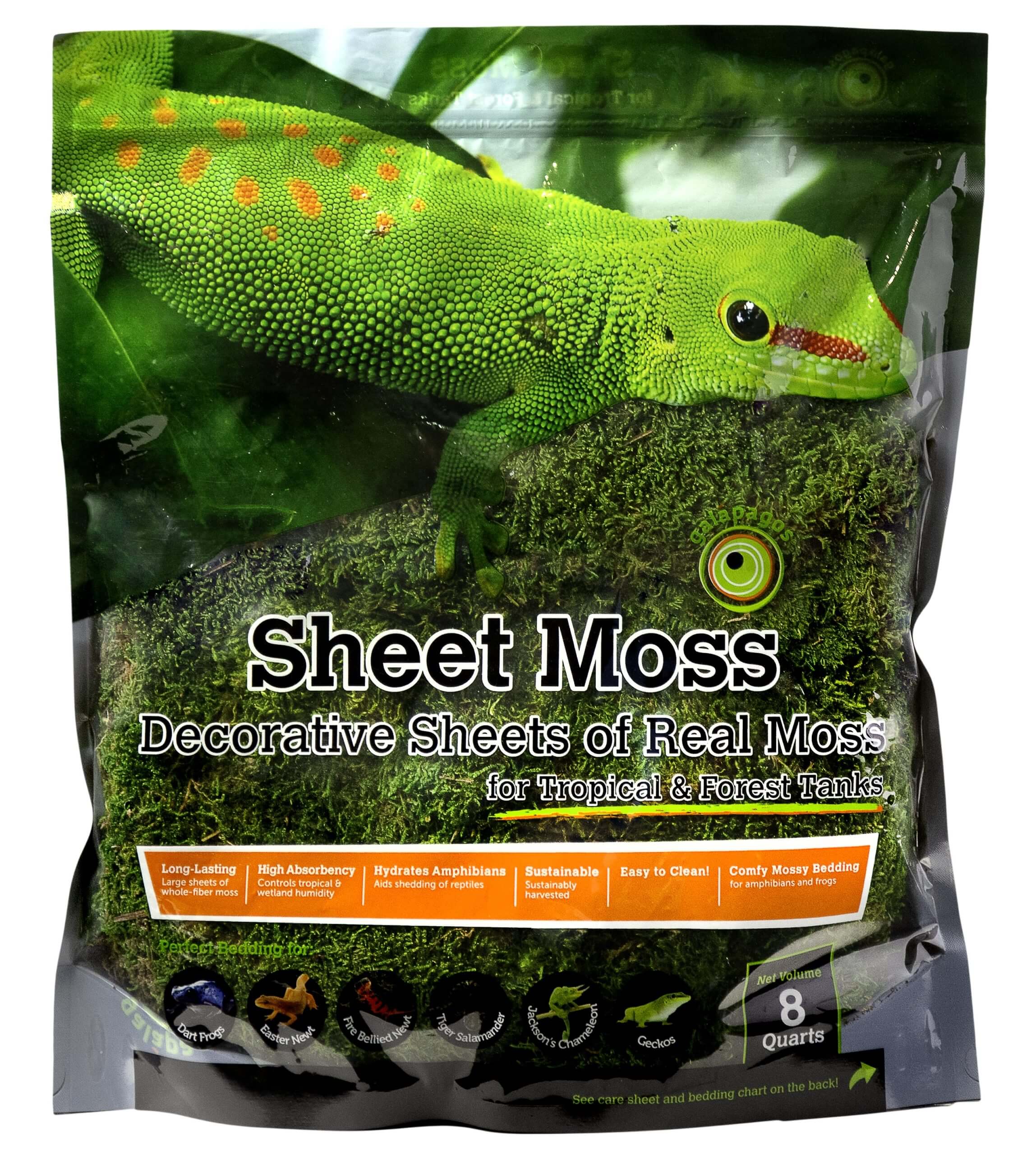 Sheet Moss 2