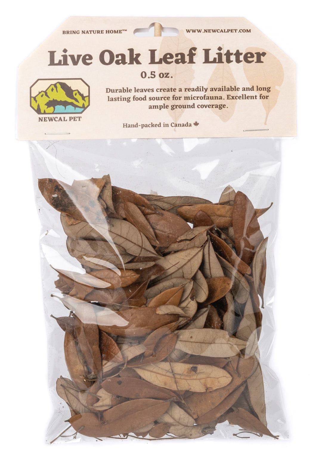Live Oak Leaf Litter 2