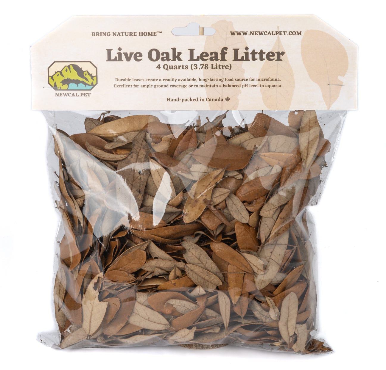Live Oak Leaf Litter 3