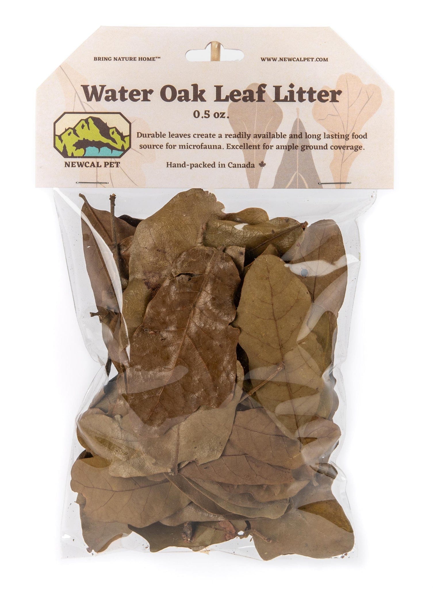 Water Oak Leaf Litter 2