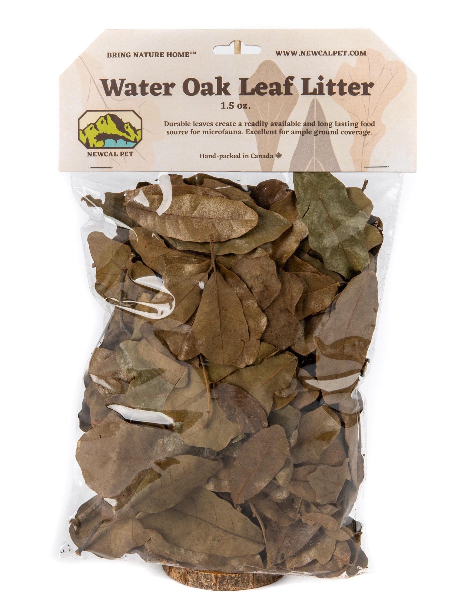 Water Oak Leaf Litter 3