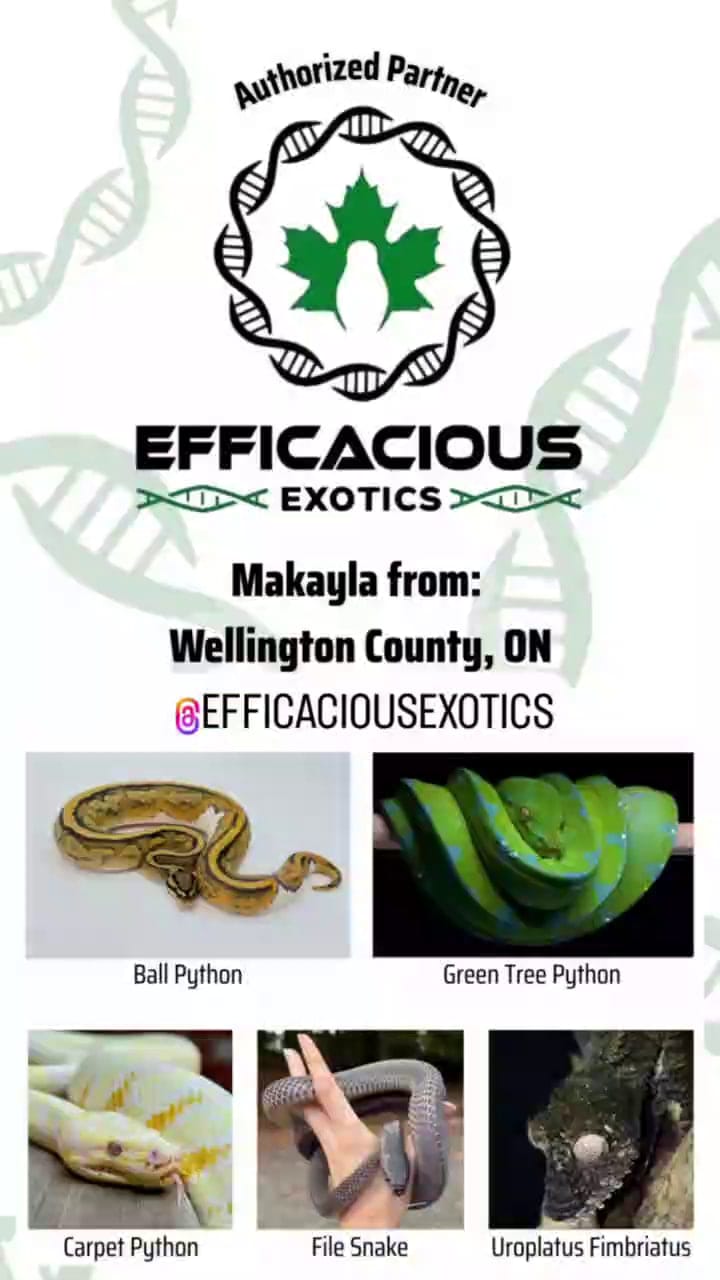 Efficacious Exotics