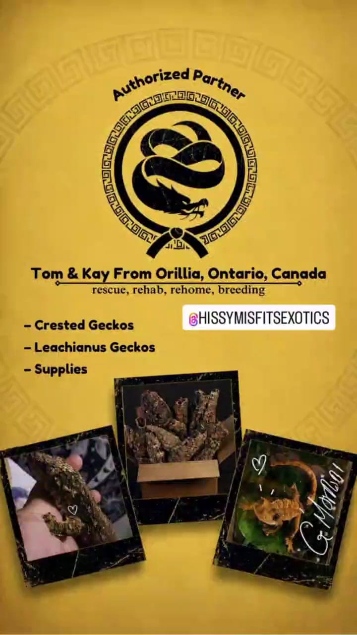 Hissy Misfits Exotics