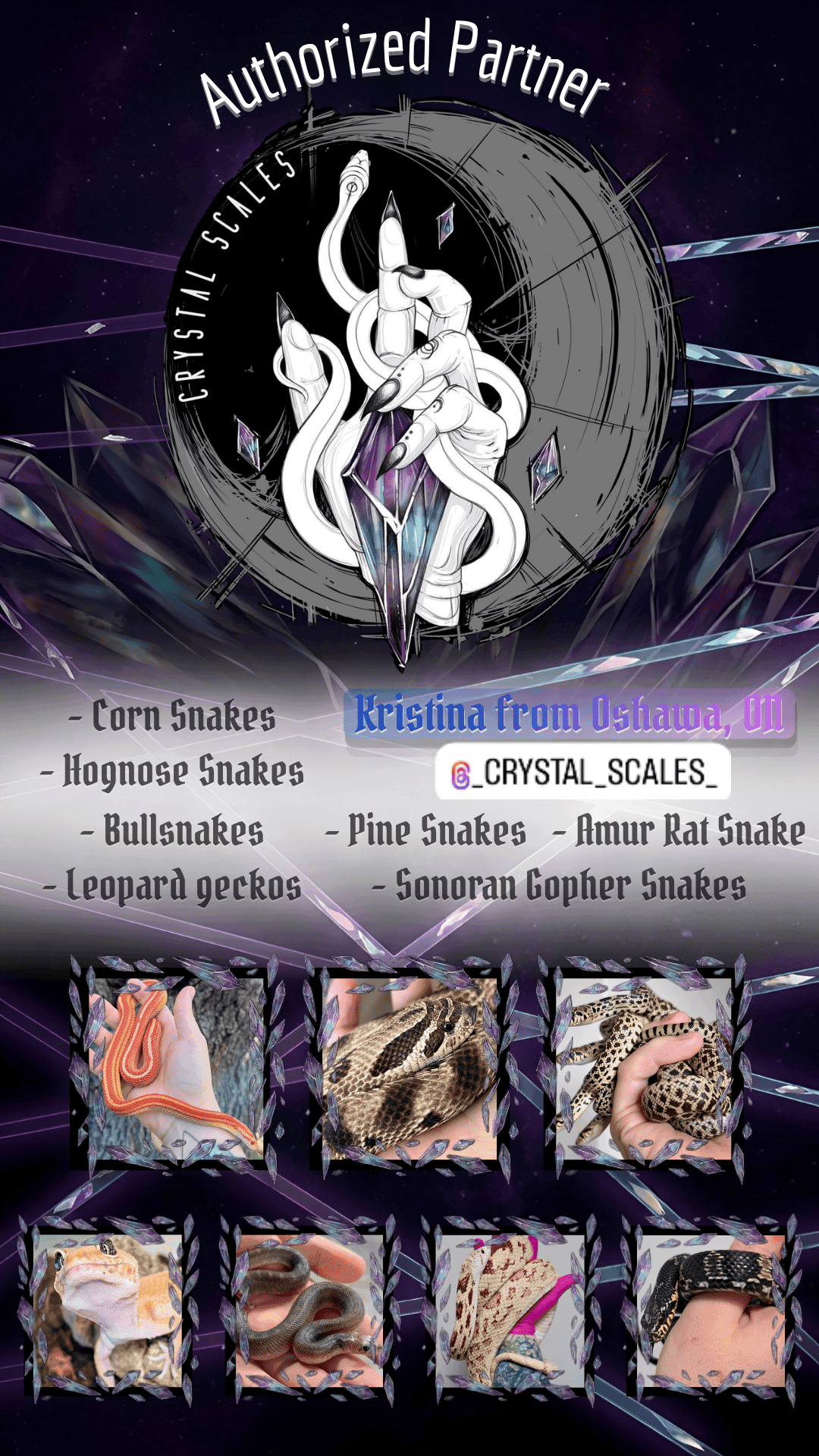 Wholesale Reptile Supplies Ontario breeder partner Crystal Scales