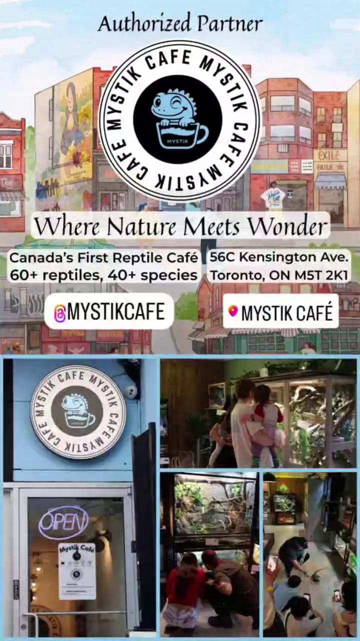 Mystic Cafe
