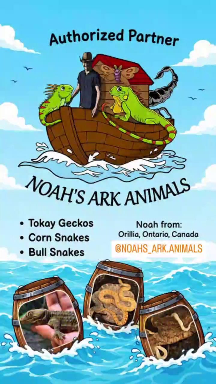 Noah's Ark Animals