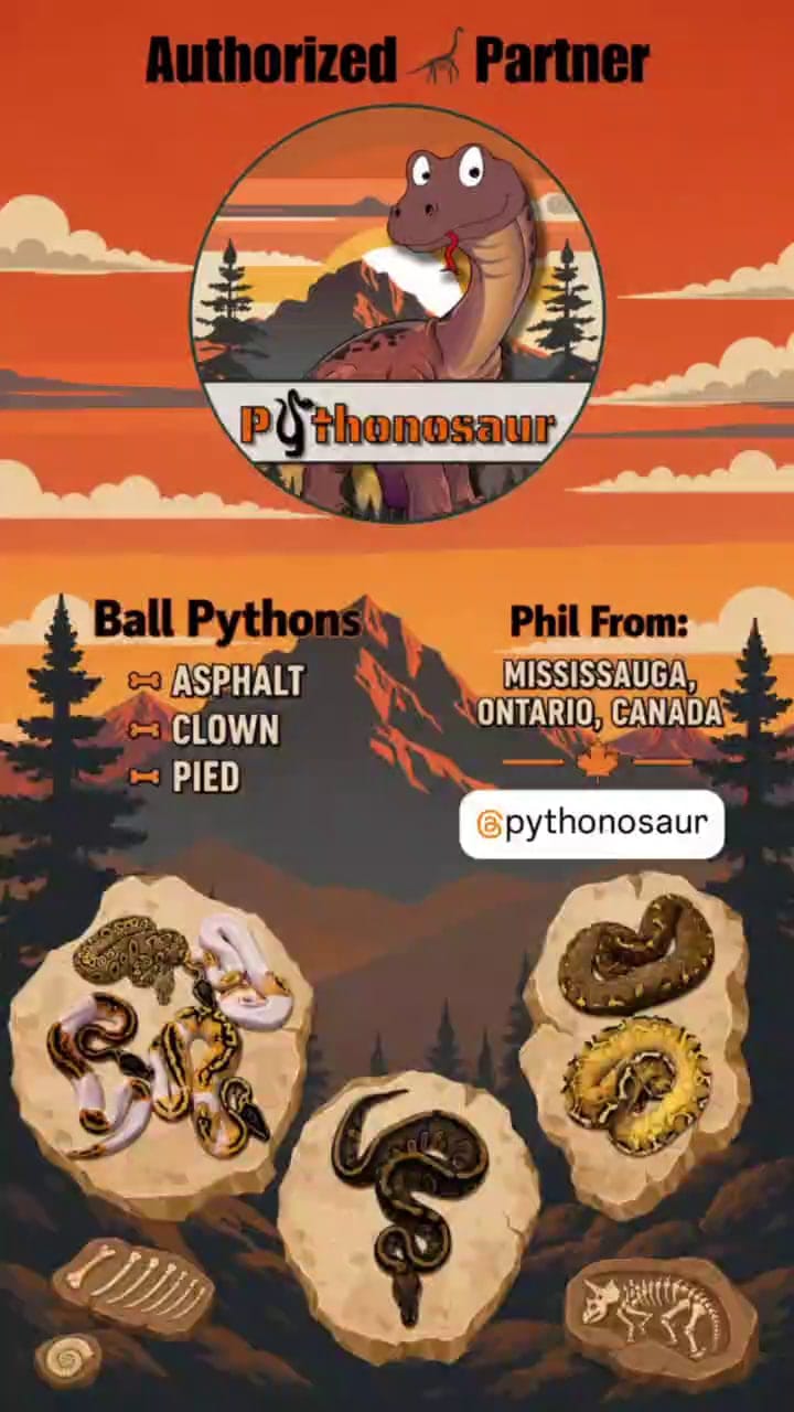 Pythonosaur