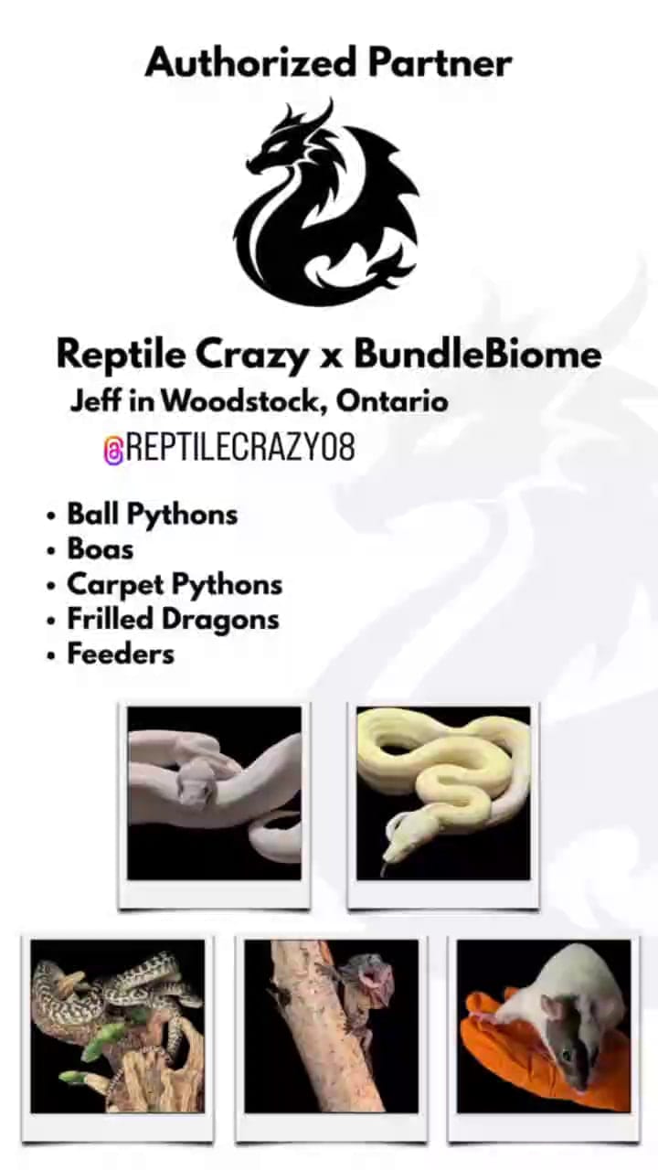 Reptile Crazy