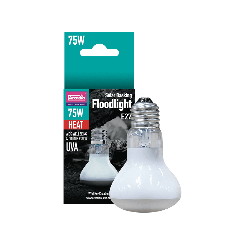 Solar Basking Floodlight 75W
