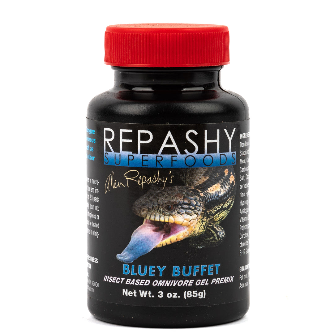 Bluey Buffet 1
