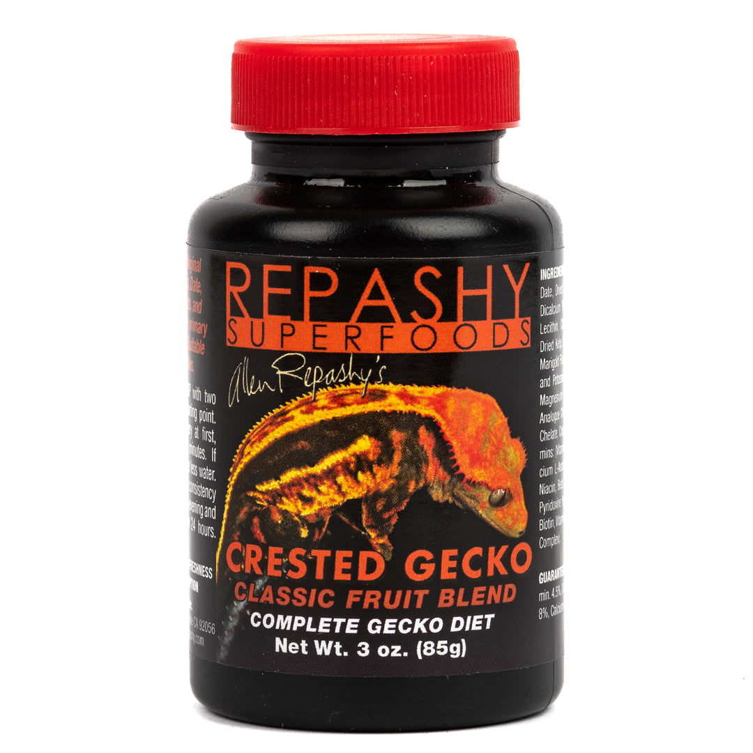 Crested Gecko Classic MRP 1