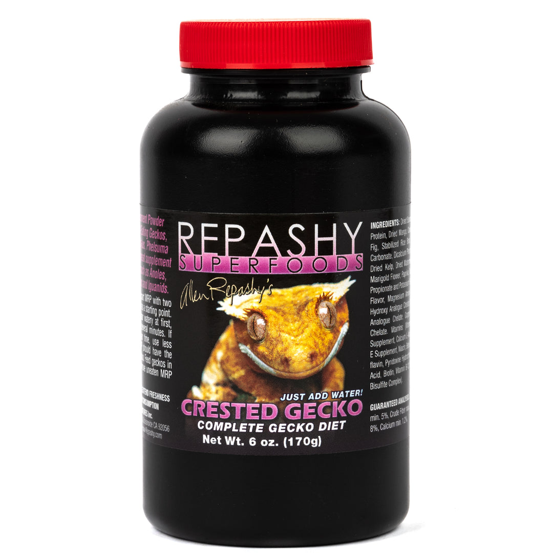 Crested Gecko Original MRP 2