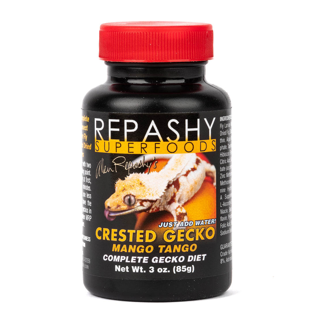 Crested Gecko Mango Tango 1