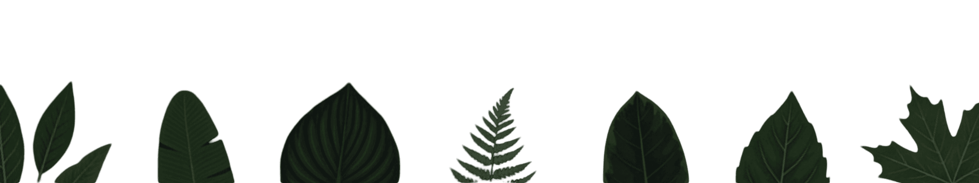 Home page bottom graphic 2